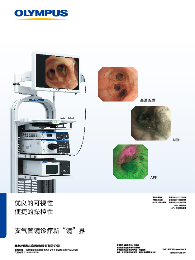 290系列